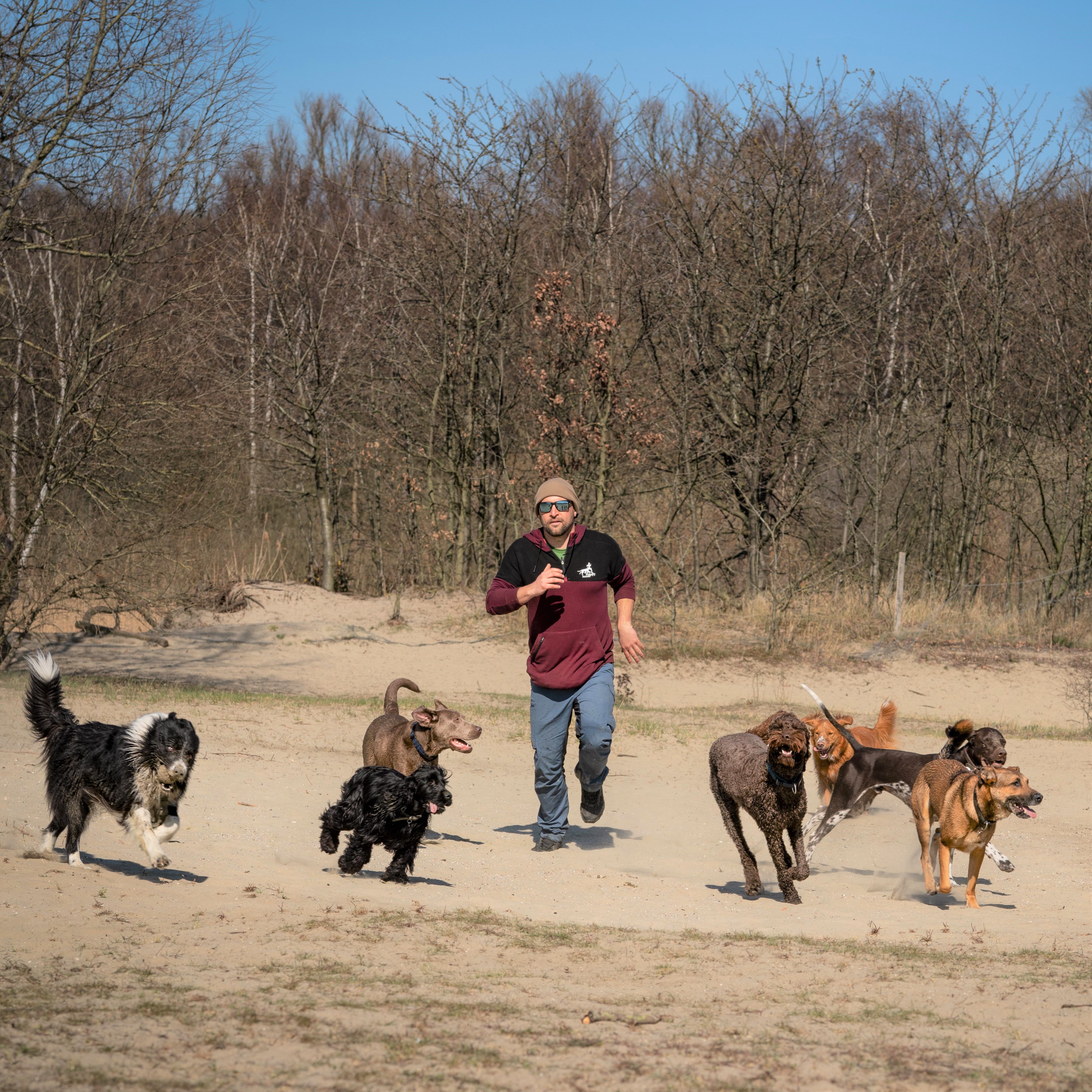 Hondenuitlaatservice in actie