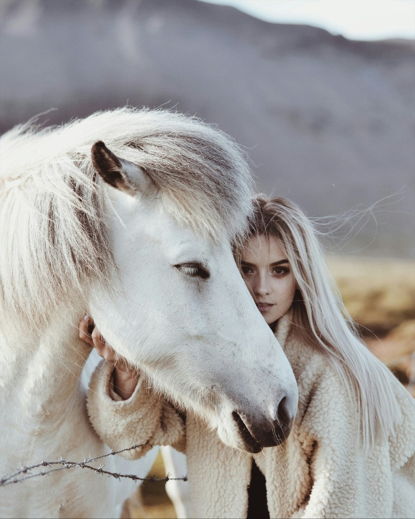 Verzorging boerderijdieren: paard en mens op stal of erf — rustige zorg